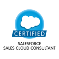 cert_ccsales_2013-1