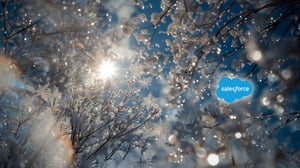 salesforce winter release 25